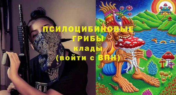 дживик Алексин