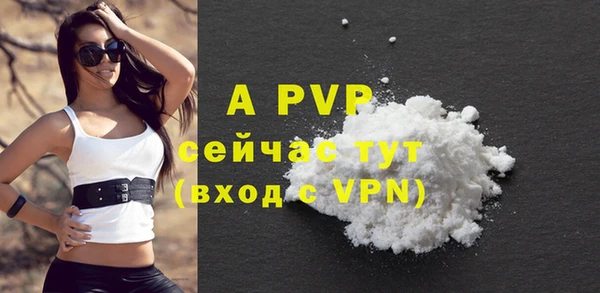 молекула духа Пестово